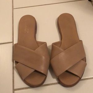 Tan slides